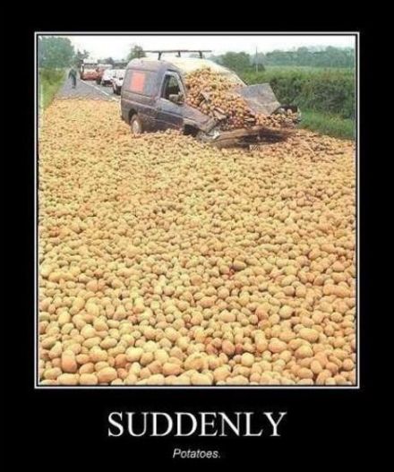 car_crash_potatoes