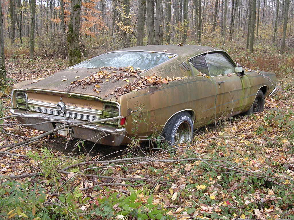 intact car in forest