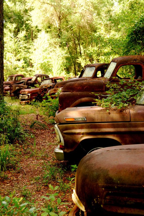 vintage_ford_trucks