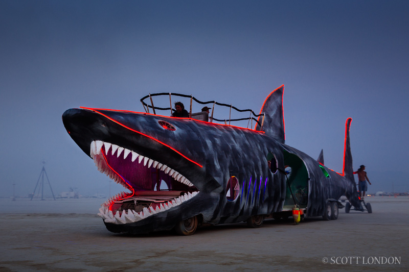 Sharkmobile